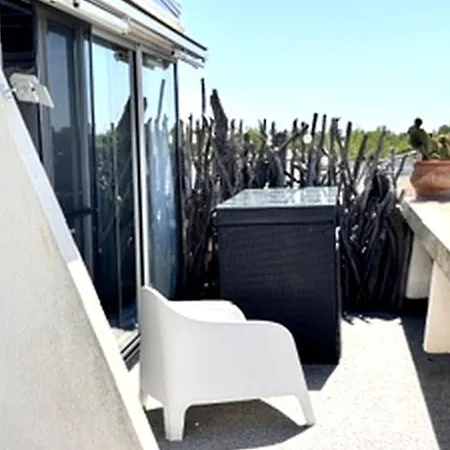 Esprit Camargue - Port-camargue *